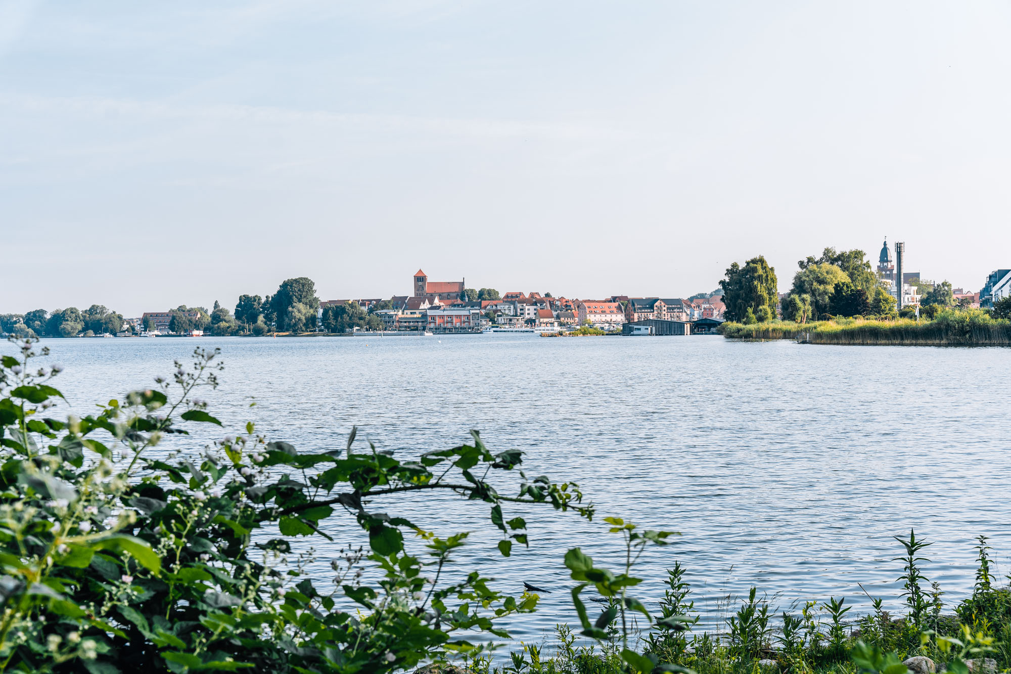 _DSC5401-Edit